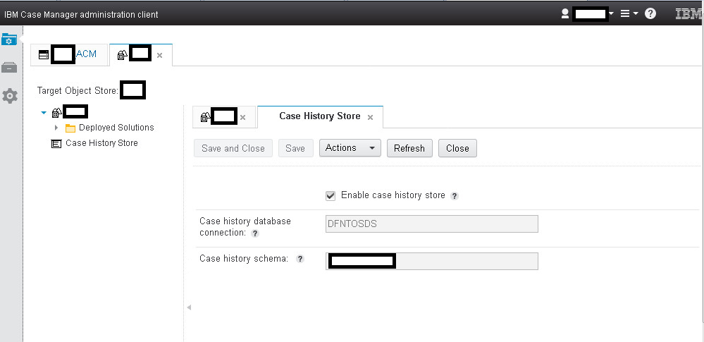 ibm case manager case history store